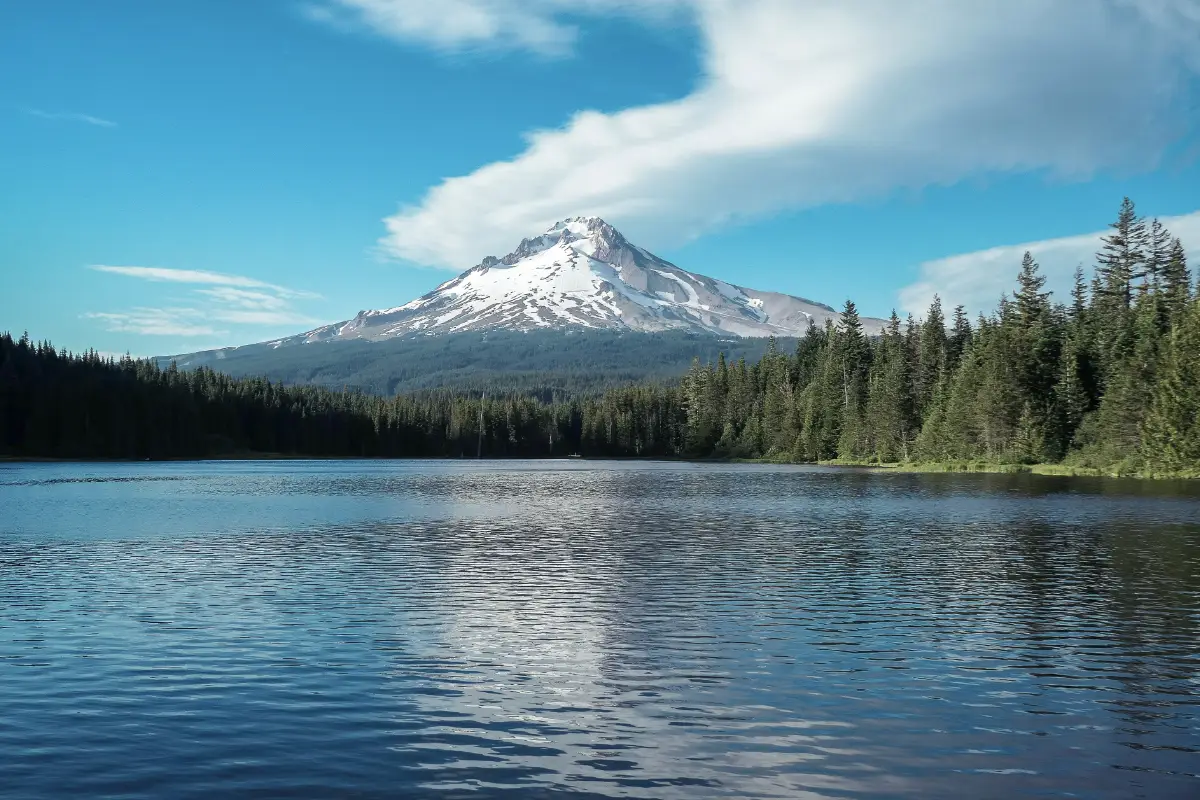 How to Send a Demand Letter in Oregon